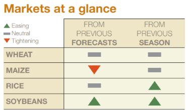 AMIS Market Monitor November 2024